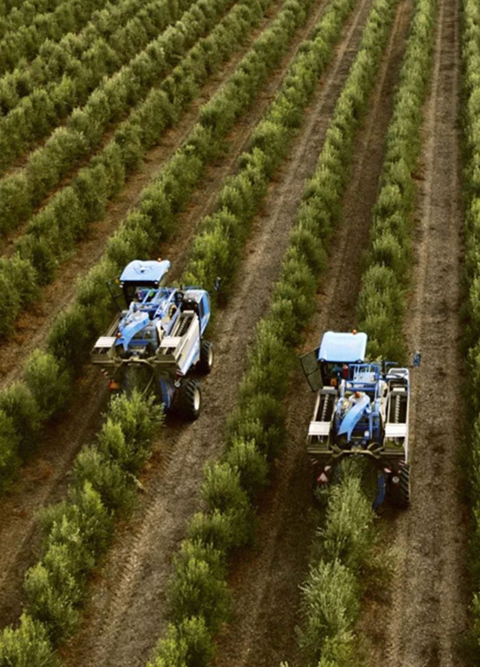 Nutrifarms - Estudiamos y probamos continuamente nuevas técnicas y sistemas de producción para mejorar la calidad de nuestros productos y la eficacia en el uso de los recursos.