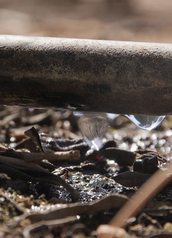 Nutrifarms - Planificamos e instalamos cuidadosamente os nossos modernos sistemas de rega gota a gota para aumentar a eficiência do uso da água.<br/><br/>Monitorizamos de forma contínua a humidade no solo, as condições meteorológicas e o estado da cultura para optimizar a rega.